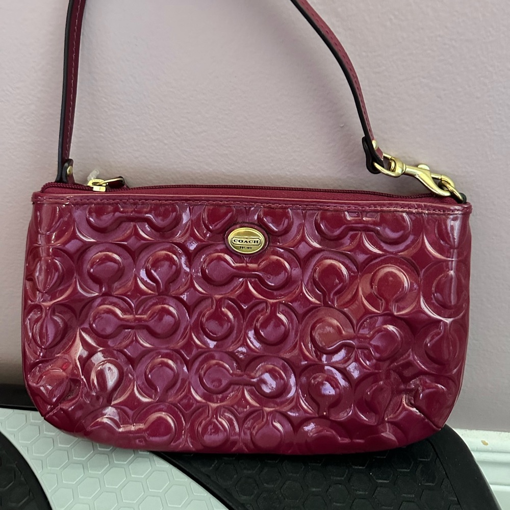 Medium sized wristlet in excellent condition.